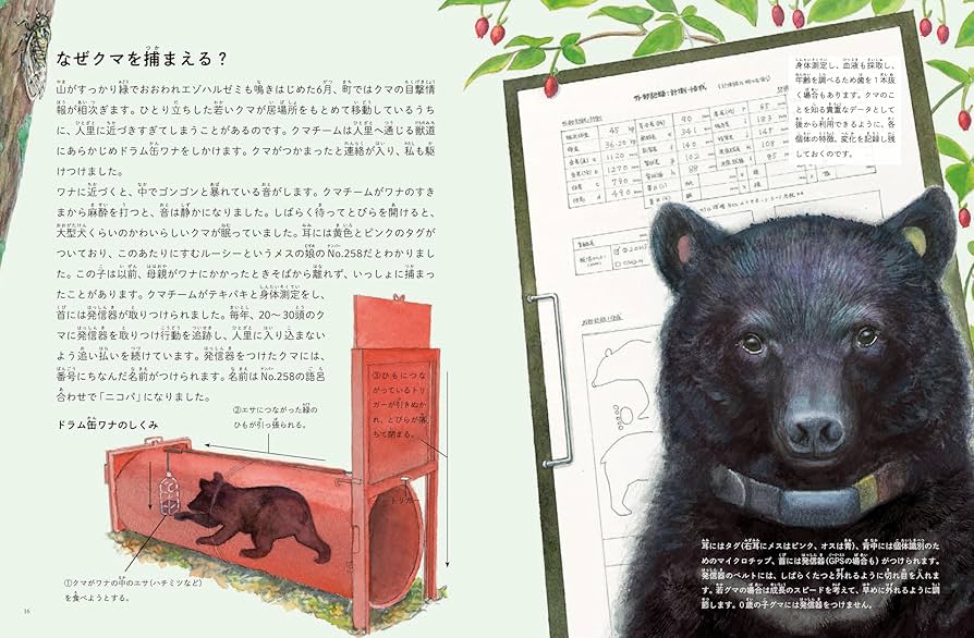 たくさんのふしぎ 11巻セット（6月号無し） たくさんのふしぎ 11巻セット（6月号無し） 公式 ストア本・雑誌